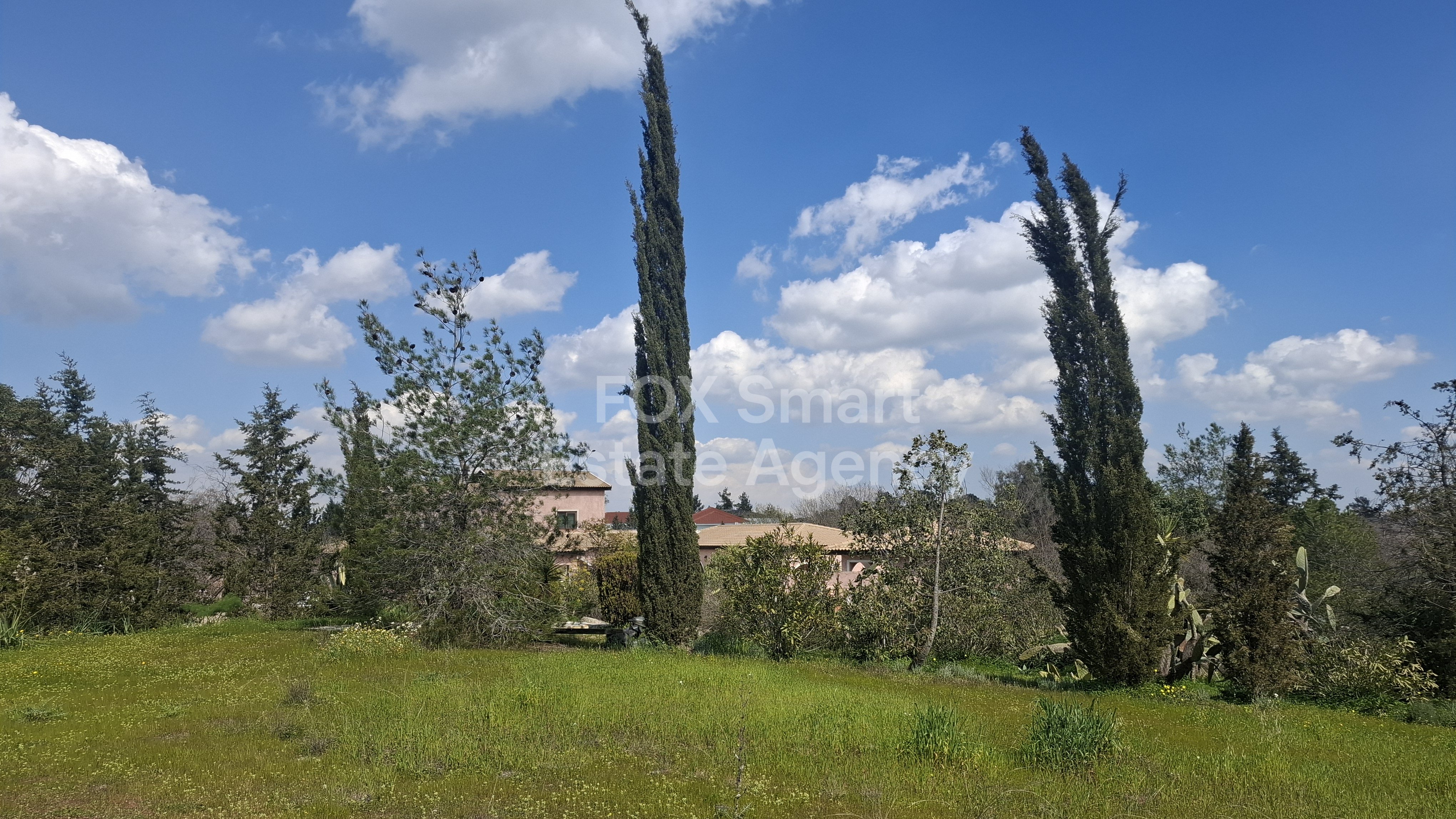 Property 36