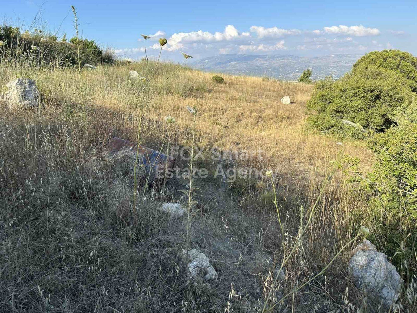 Land in Kallepia - Image 2