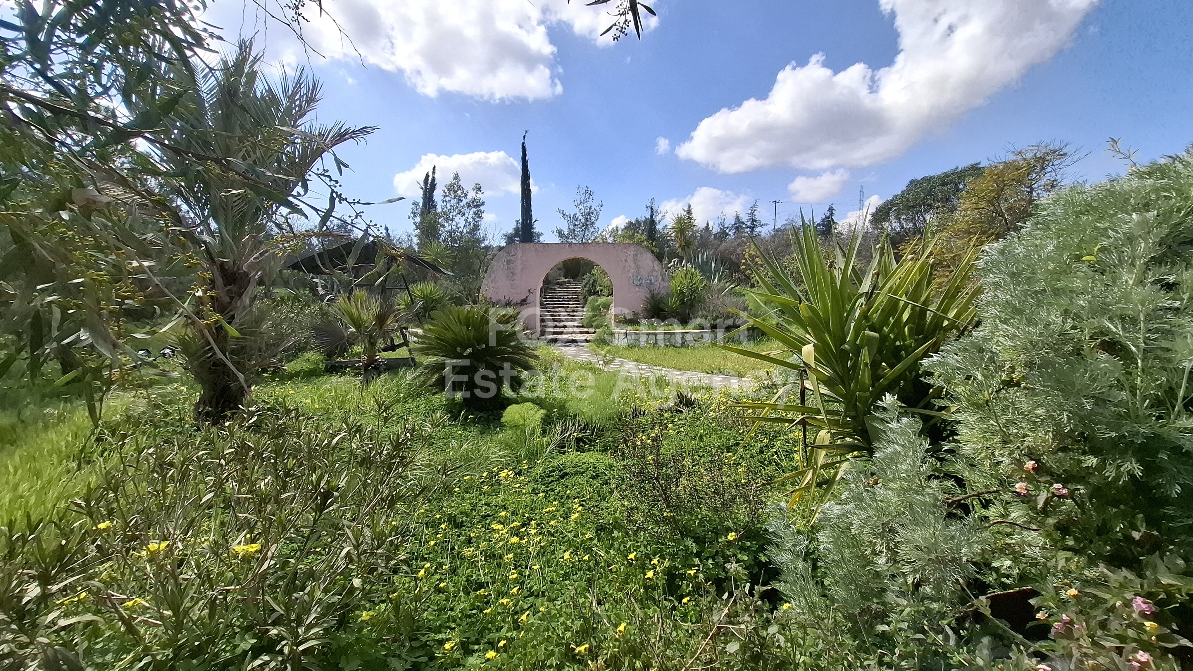 Property 34