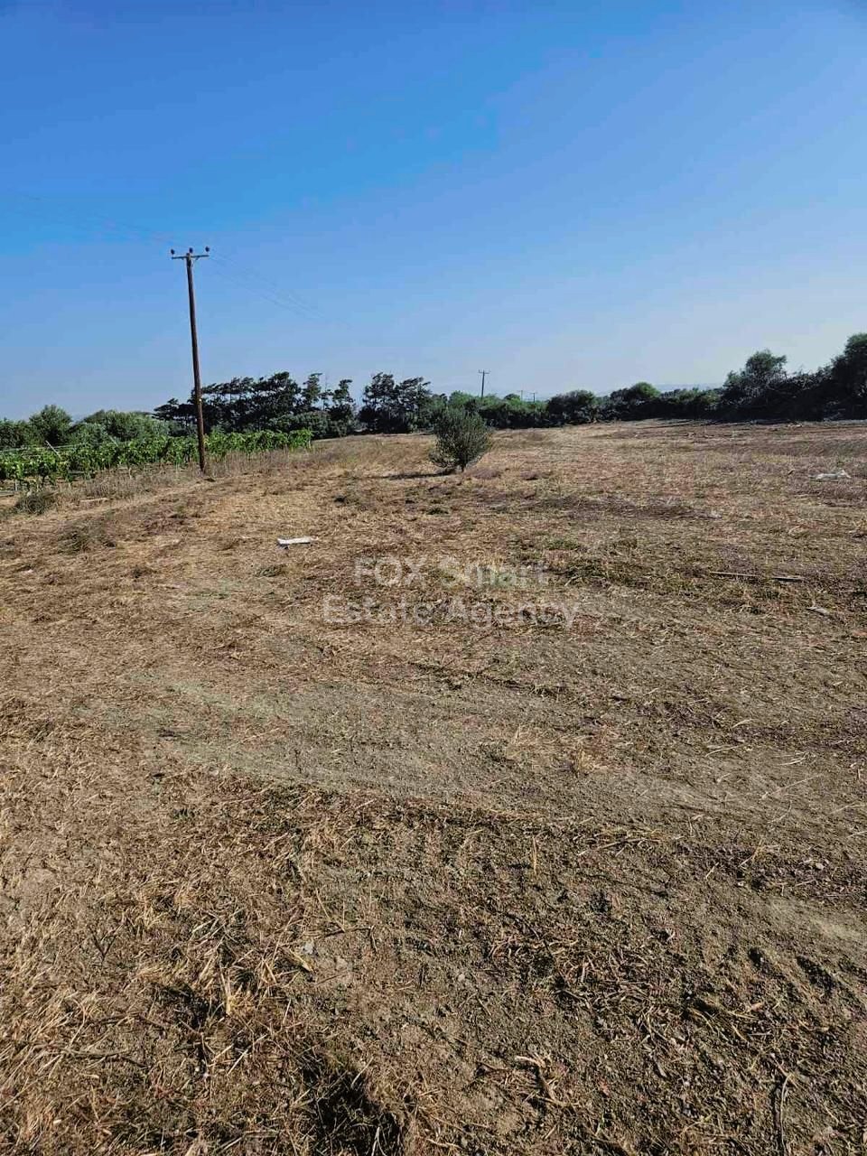 Land in Akrotiri - Image 4