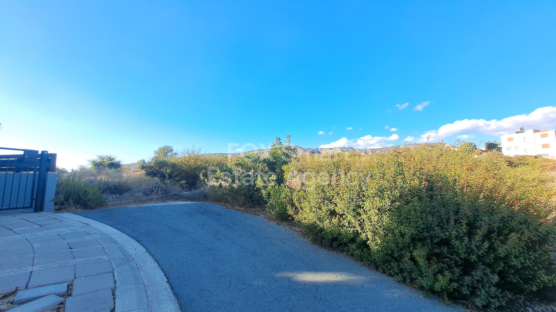 House in Pegeia - Image 3