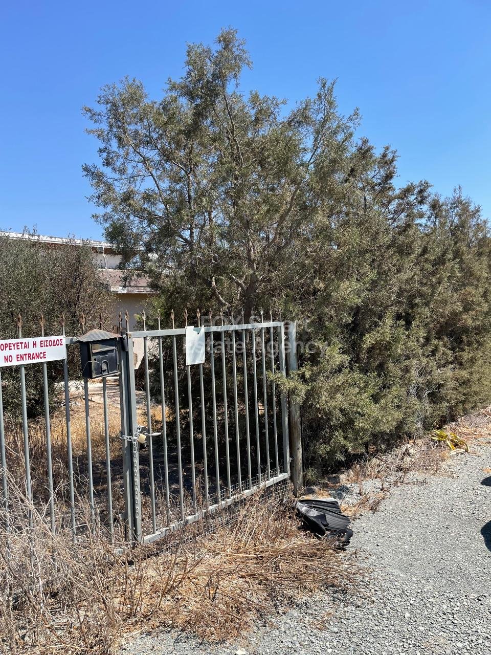 2 Bedroom HOuse, 2,272m2 Land, Olive Trees, Kalo Chorio, Larnaca