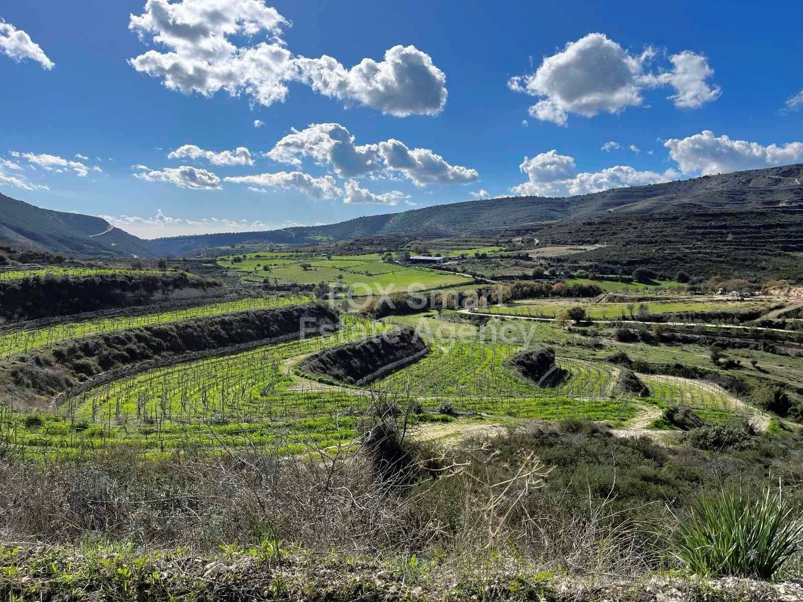 House in Limassol - view 1