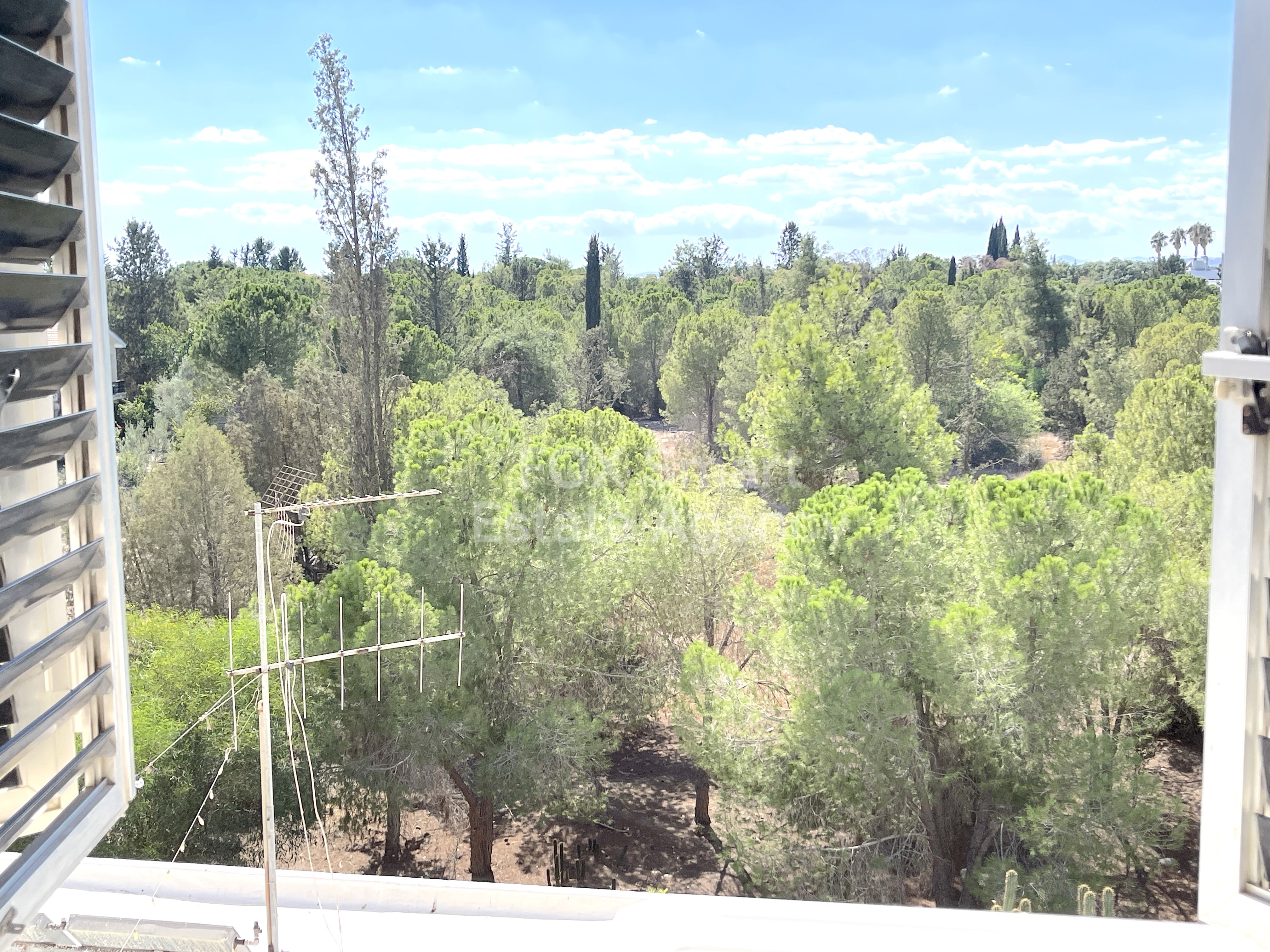 Luxurious Apartment with Peaceful Parkside Living and Full Title Deed