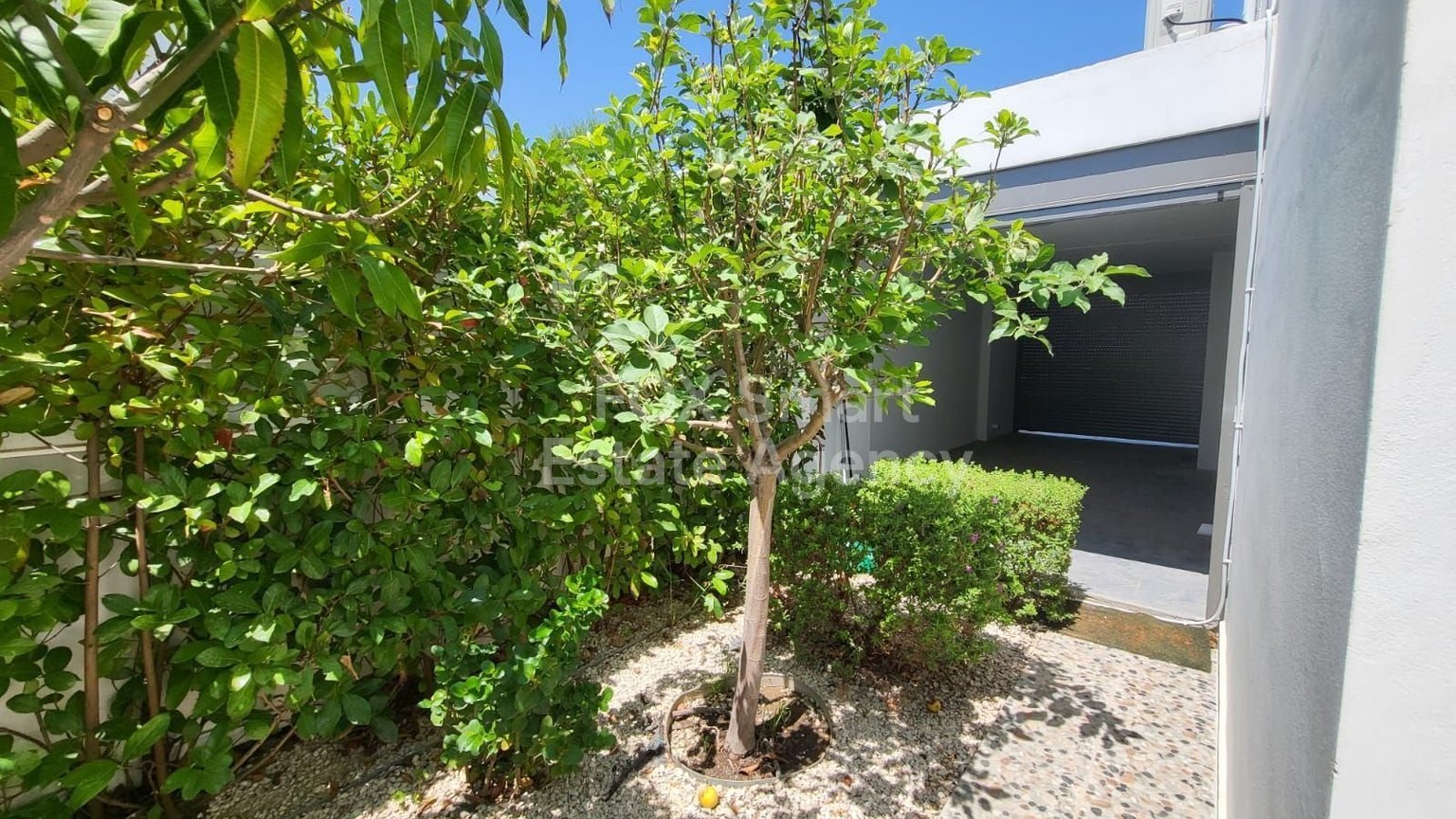 Modern 4-Bedroom Villa for Sale with Private Pool & Rooftop Terrace – Livadia