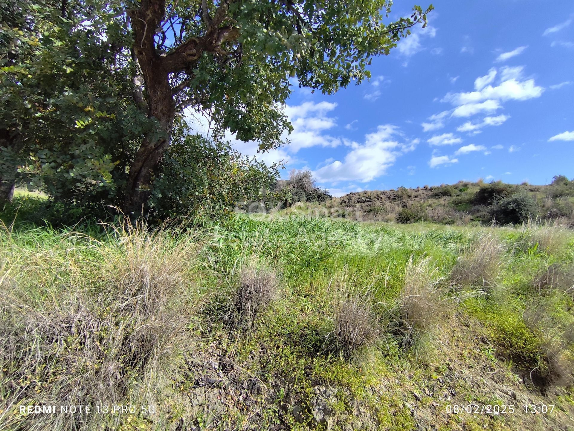 Land in Asgata - view 1