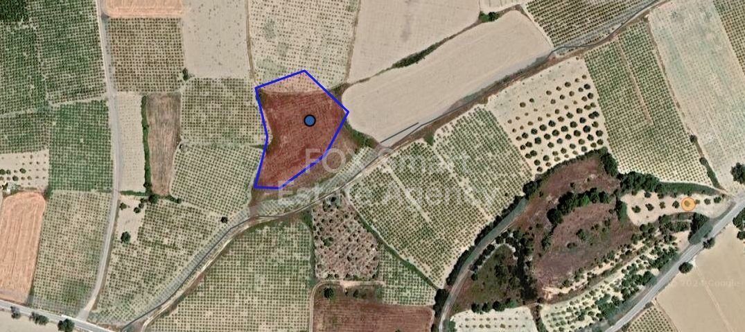 Land in Polemi - view 1