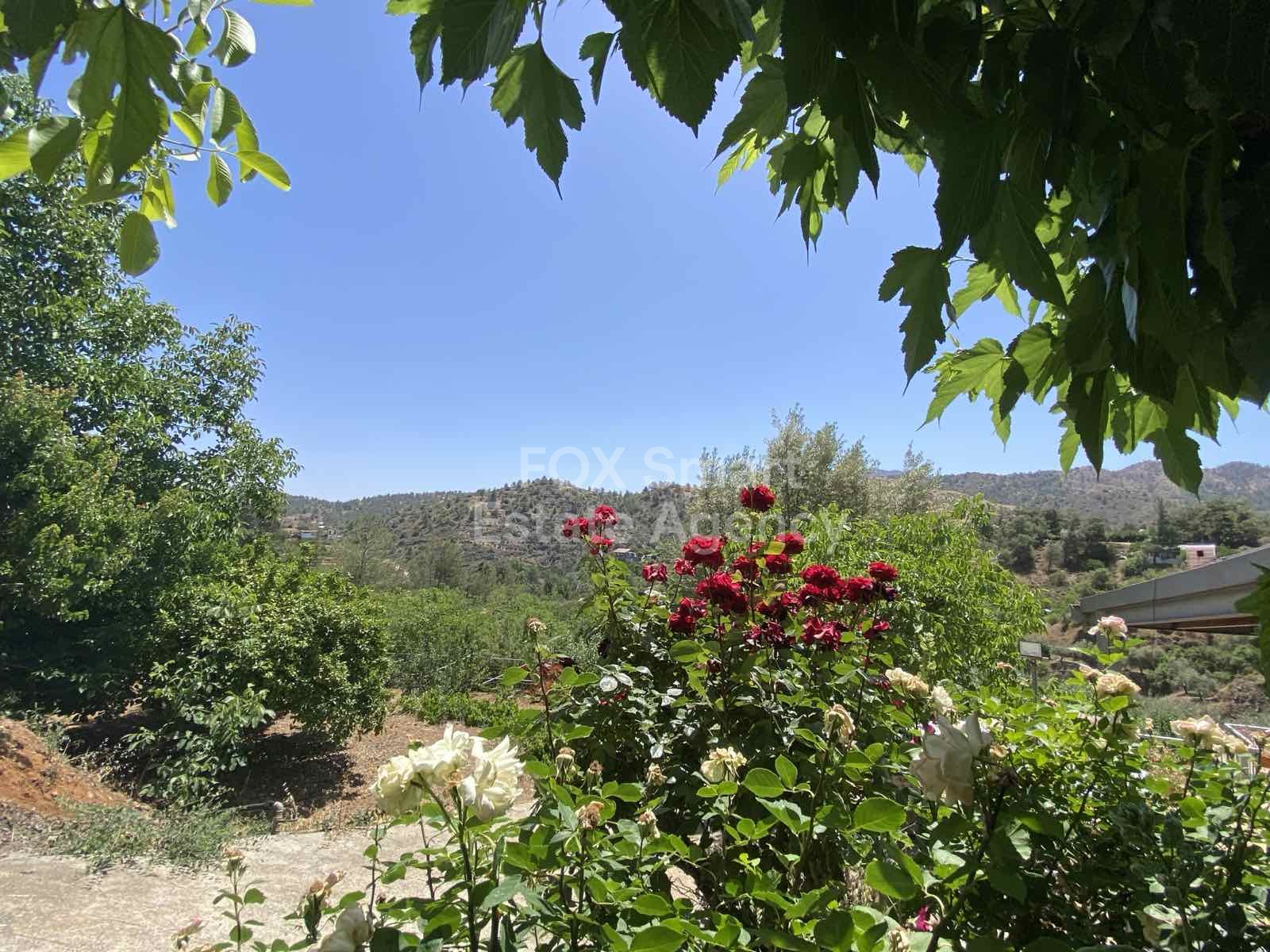 For Sale Country House with Garden – Palaichori Orinis, Nicosia