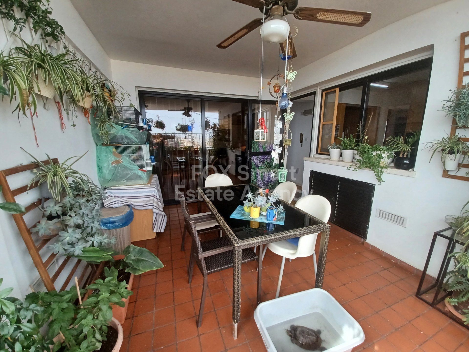Property 39