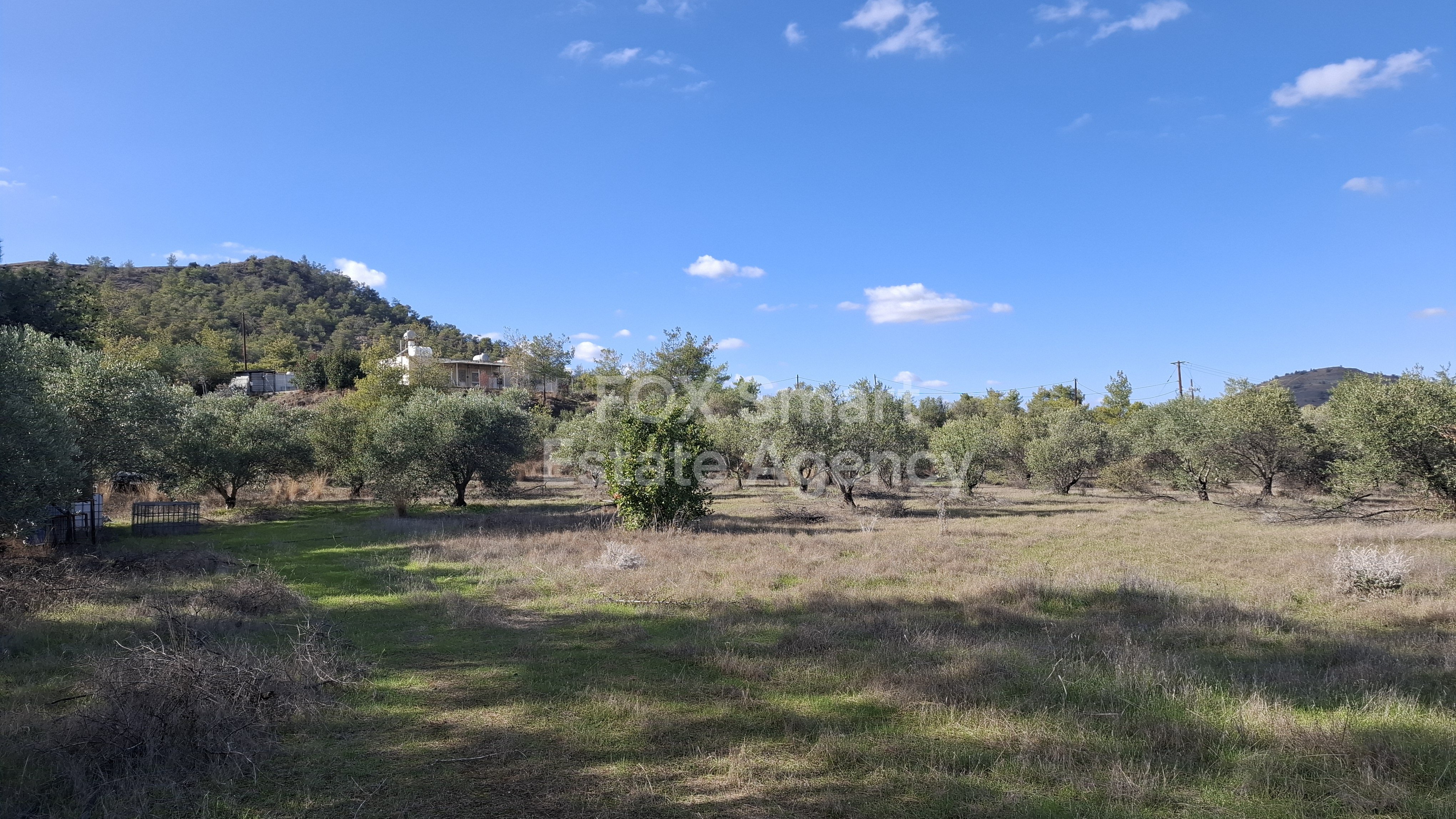 Property 37