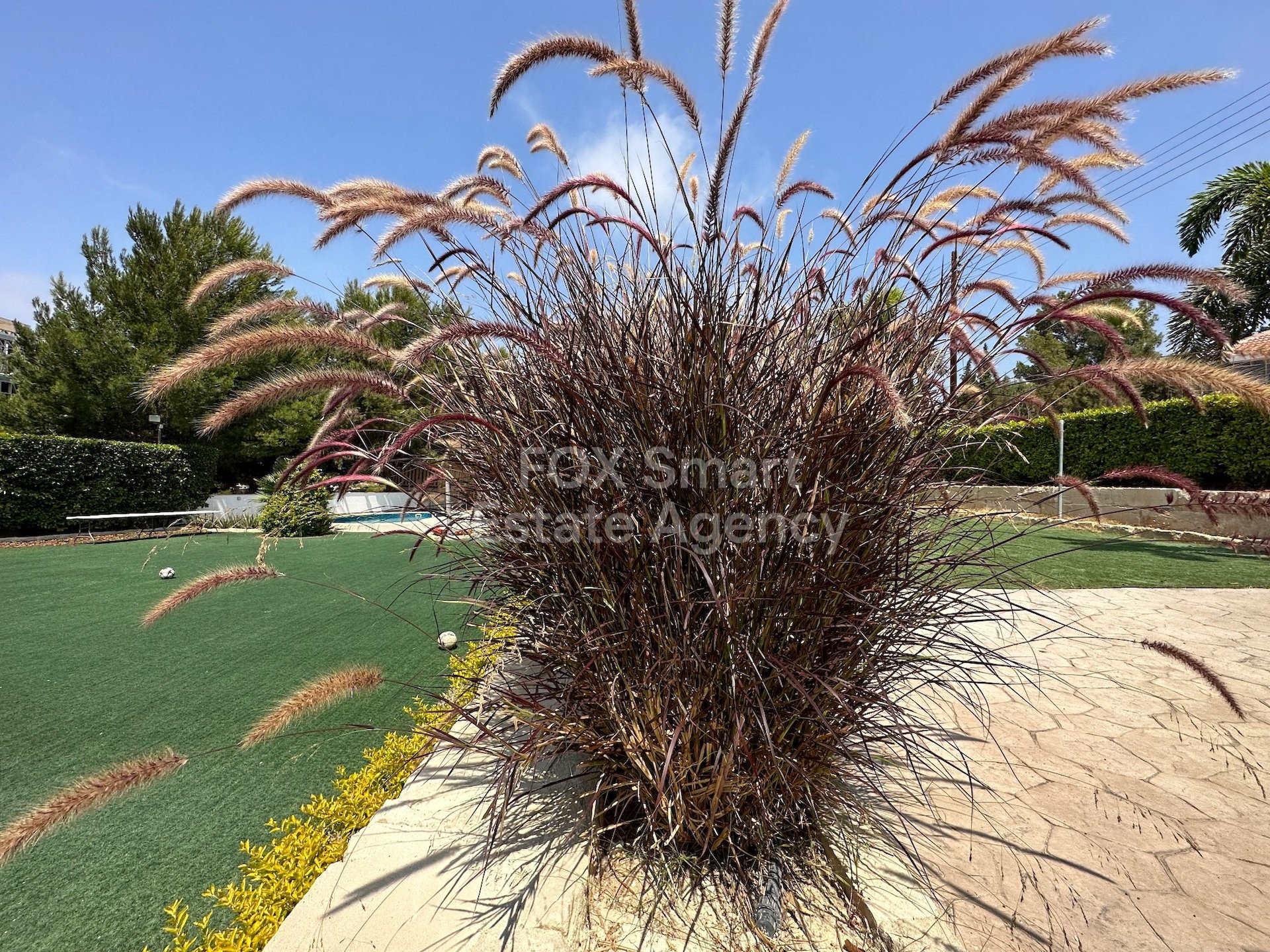 House, For Rent, Limassol, Agios Tychon