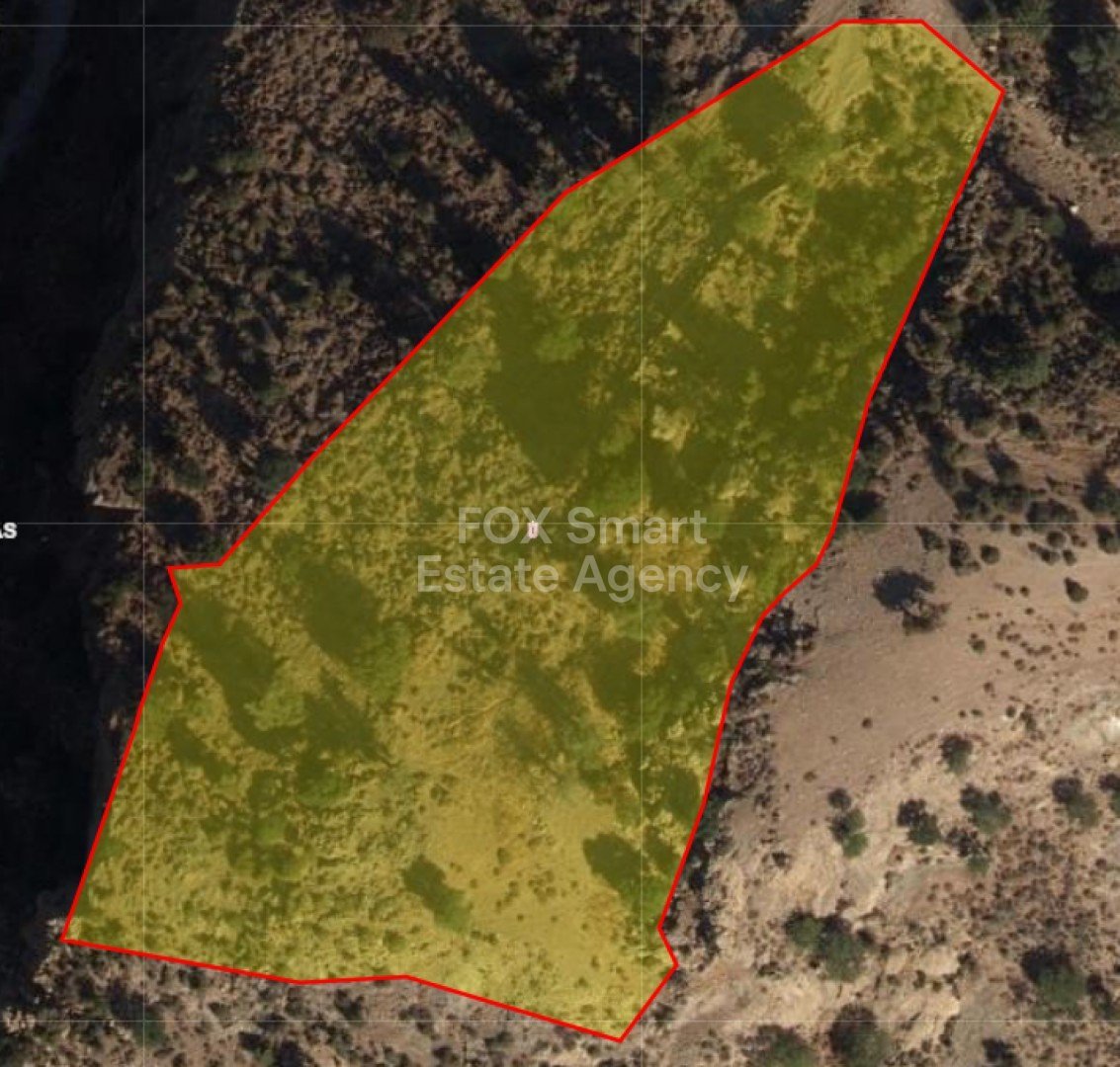 Land in Pegeia - Image 3