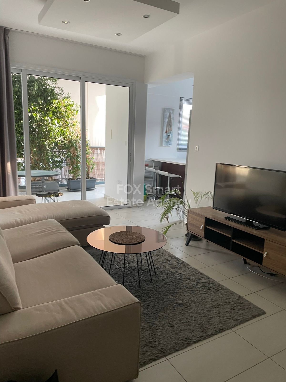 Three Bedroom Apartment in Acropolis