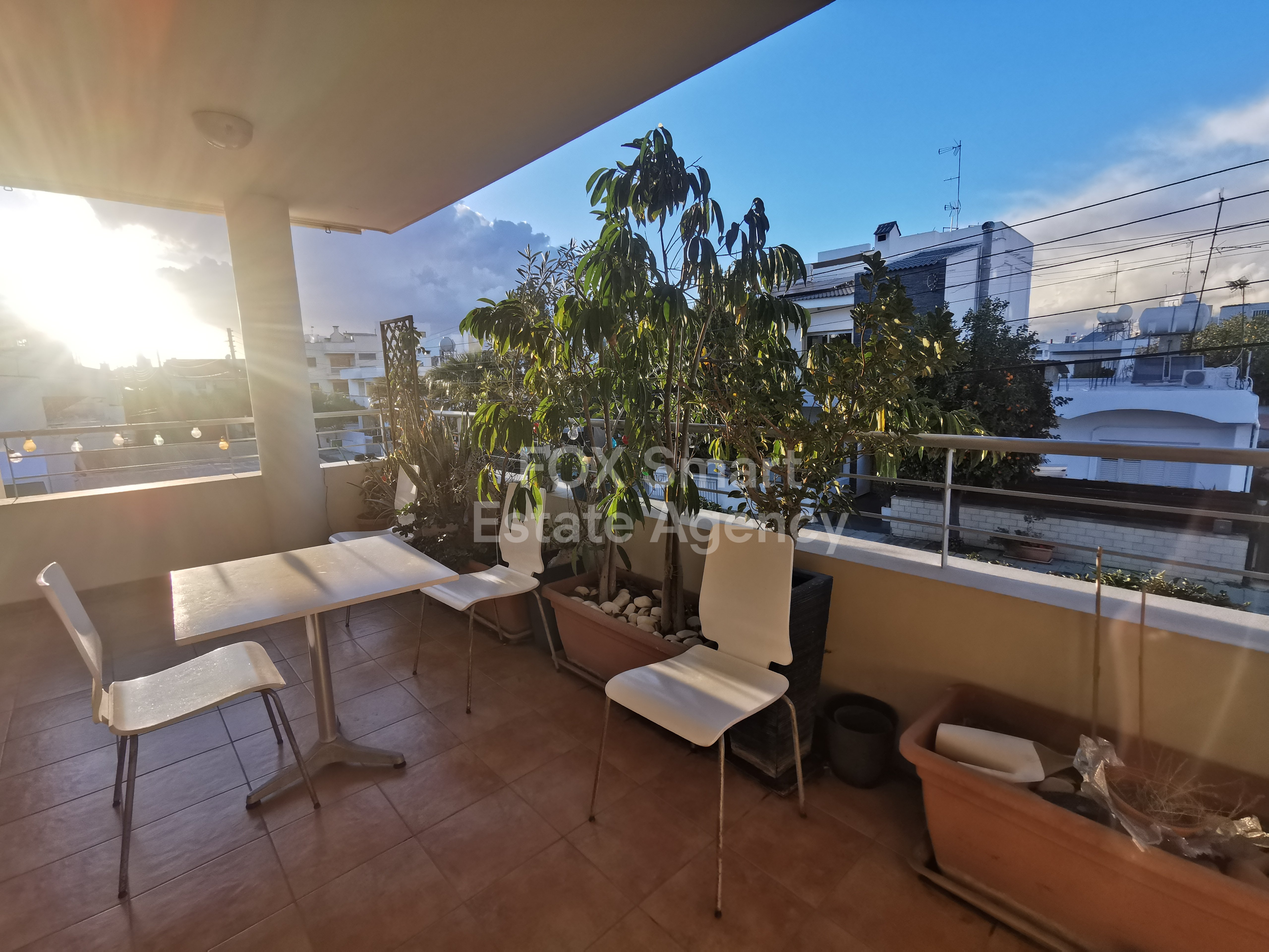 Property 31