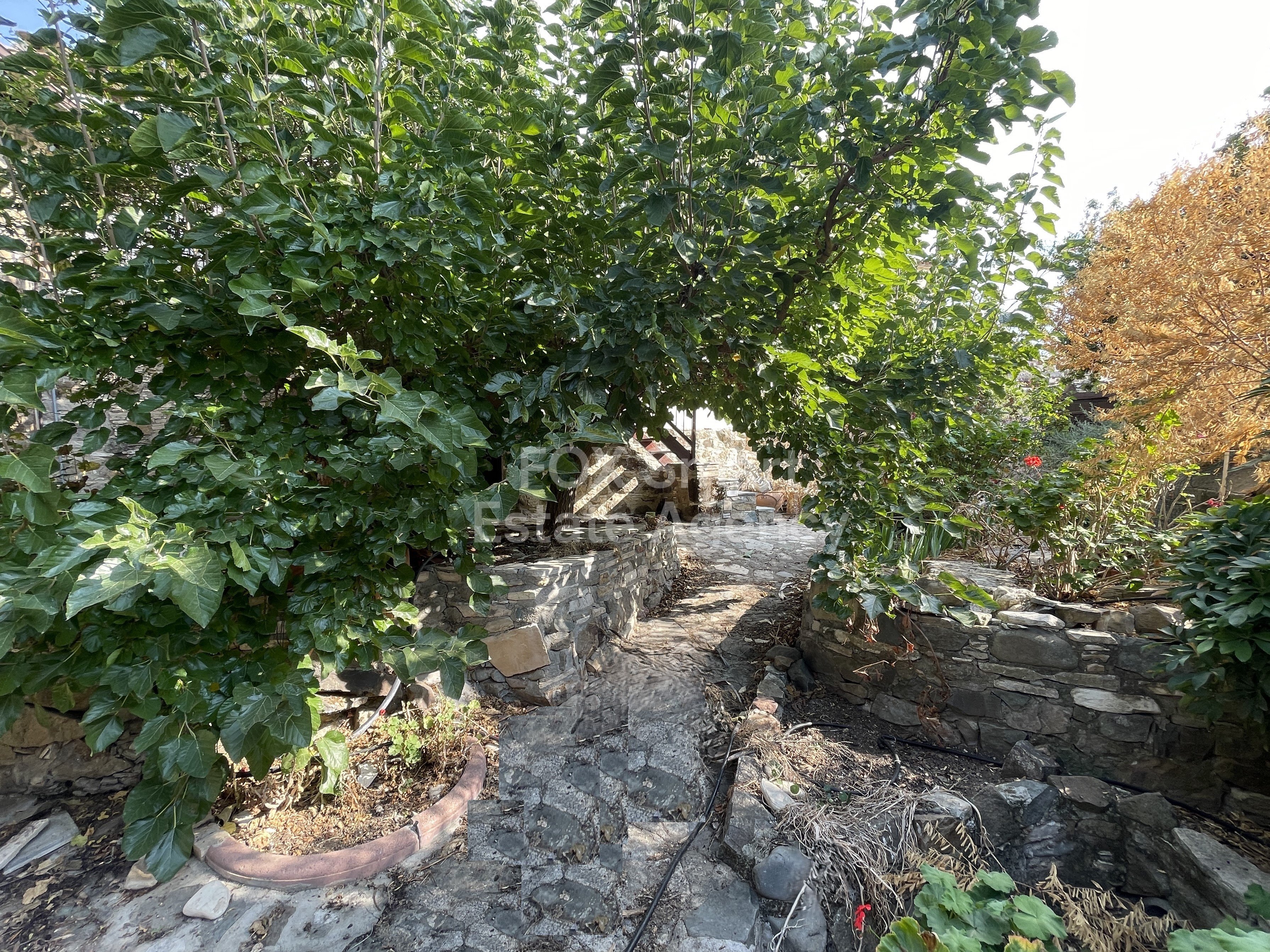 Traditional Cypriot House for Sale in Kapedes Village