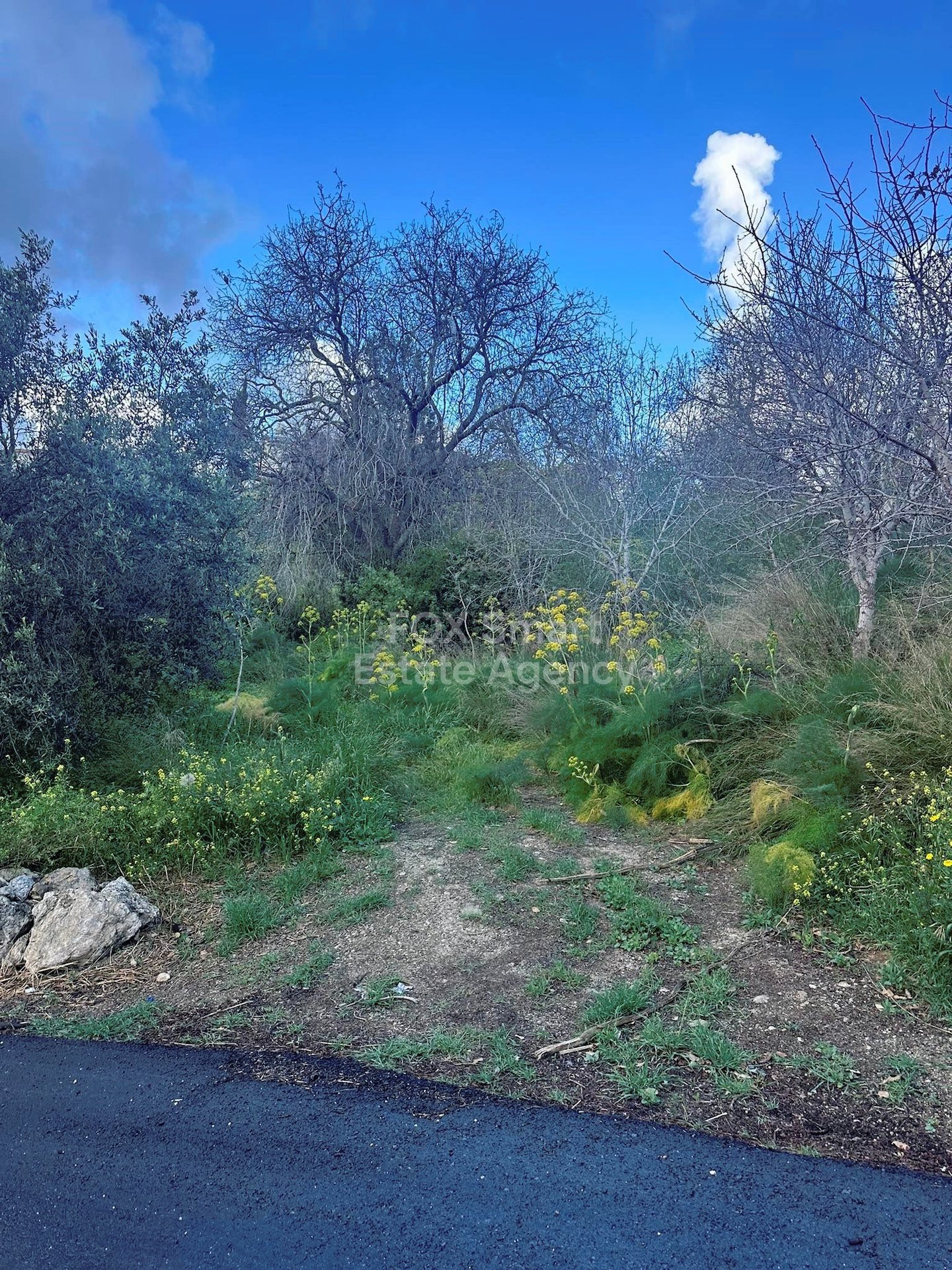 Land in Tremithousa - Image 4