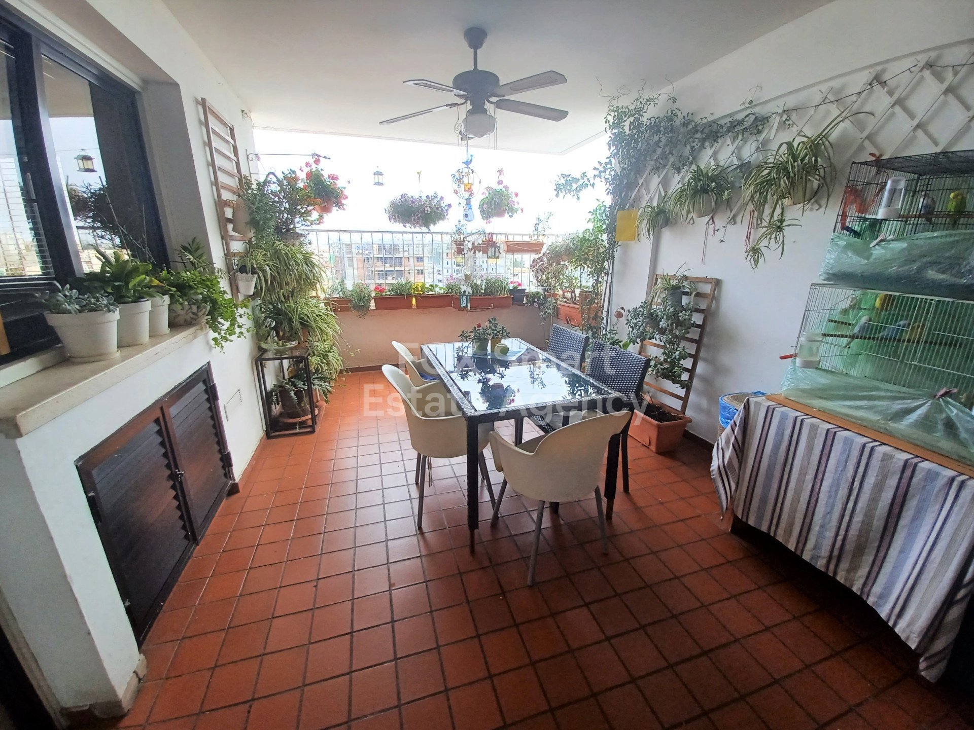 Property 38