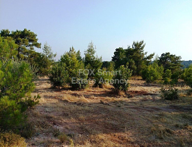Land, For Sale, Limassol, Dora  2676.00 SqMt 