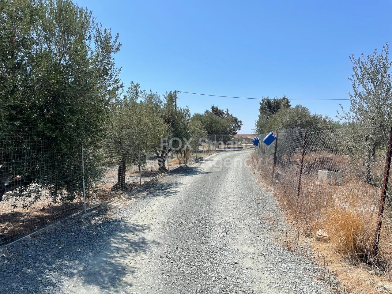 2 Bedroom HOuse, 2,272m2 Land, Olive Trees, Kalo Chorio, Larnaca