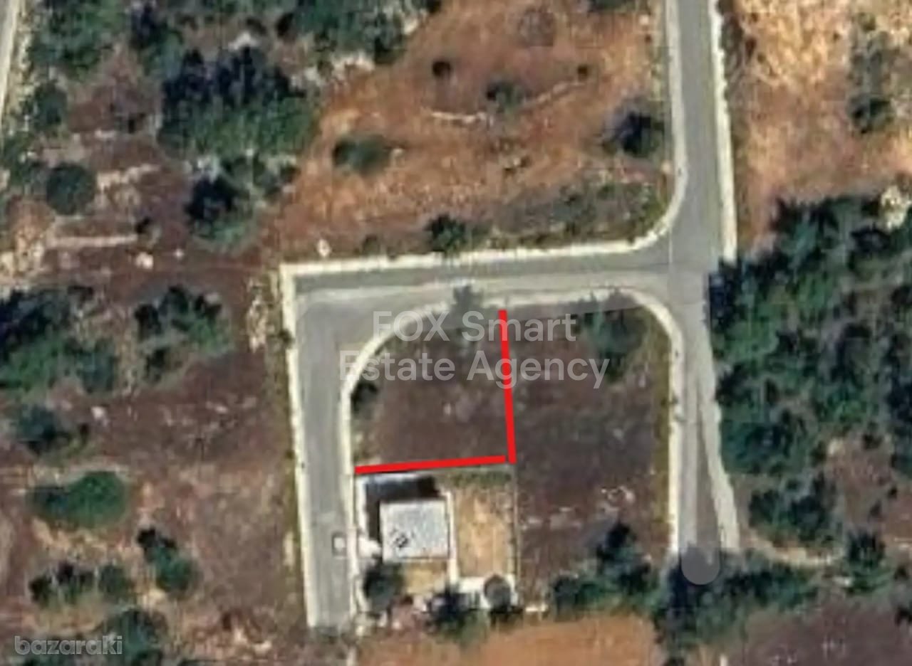 Land in Souni - view 1